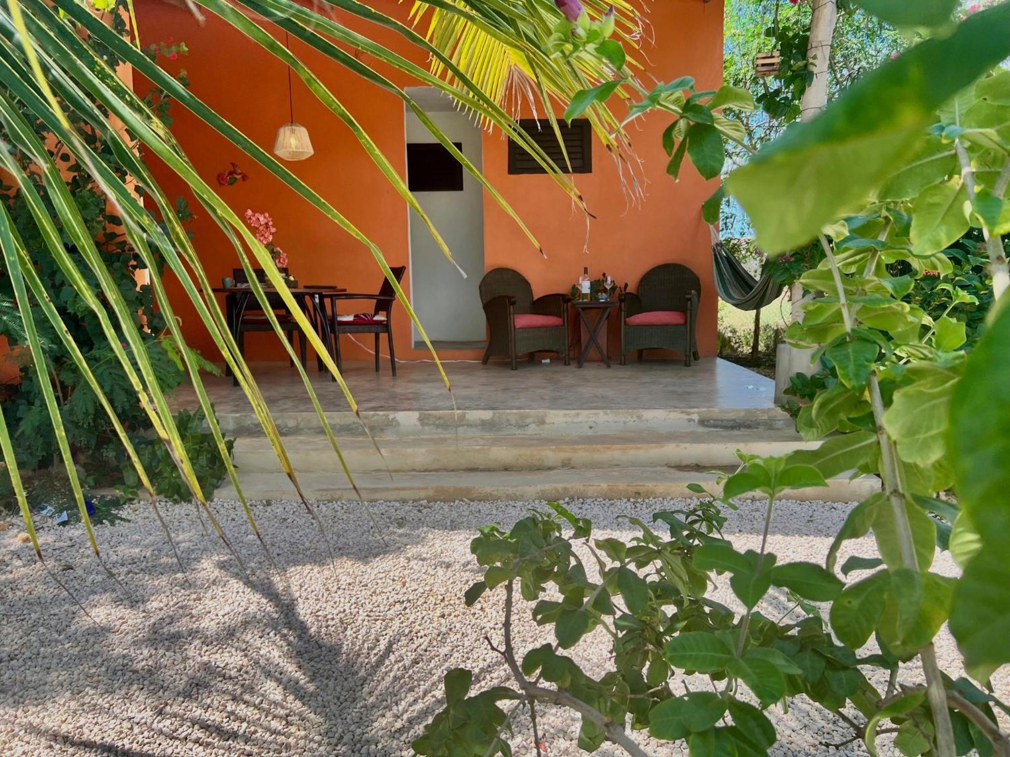 The Octopus Tropical Oasis Dorp Dorp Sint Michiel Rom bilde